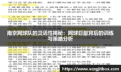 南京网球队的灵活性揭秘：网球巨献背后的训练与策略分析